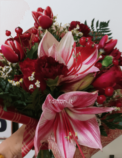 Christmas Red passion